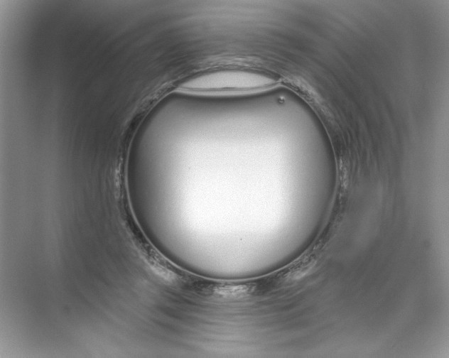 X0000074320357200609230032