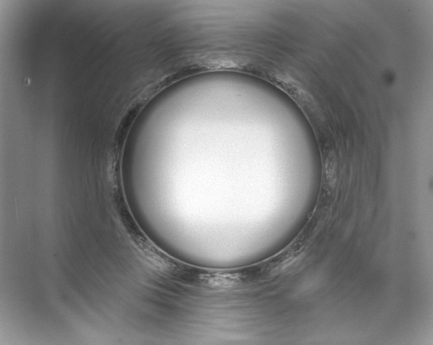 X0000074320359200609230032