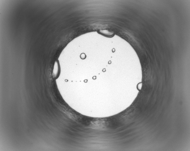 X0000074320362200609230032