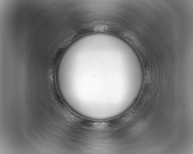 X0000074320363200609230032