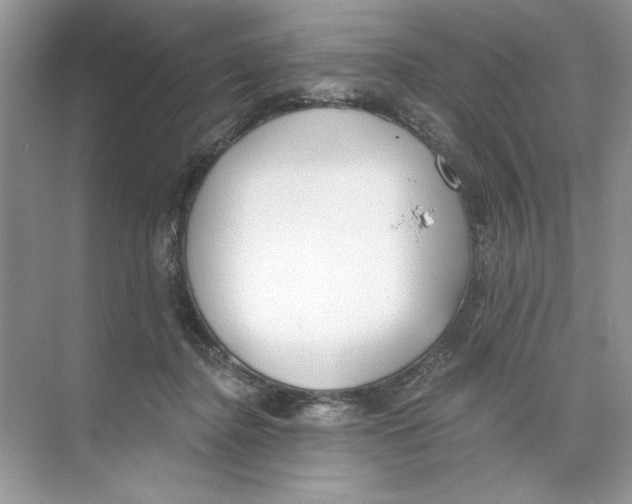 X0000074320364200609230032