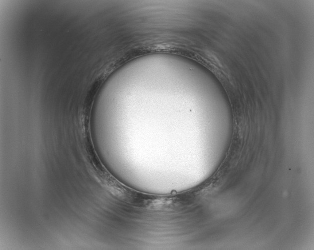 X0000074320366200609230032