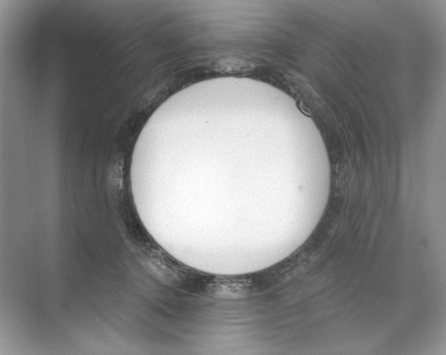 X0000074320368200609230032