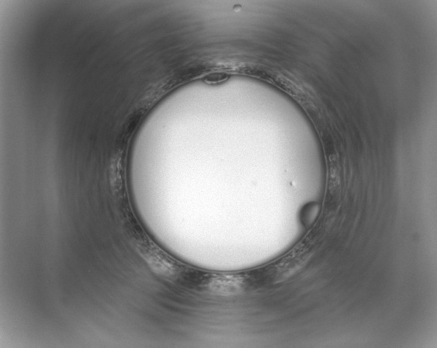 X0000074320369200609230033