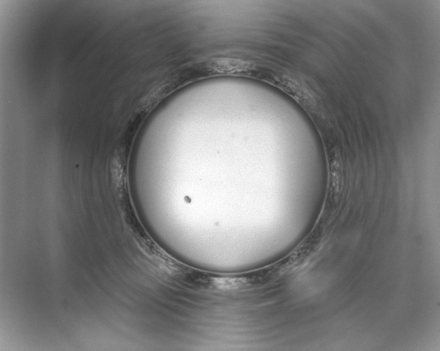 X0000074320371200609230033