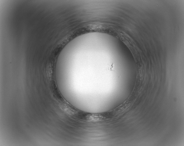 X0000074320372200609230033