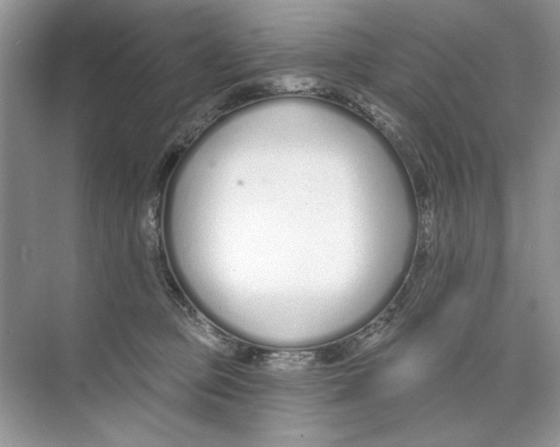 X0000074320373200609230033