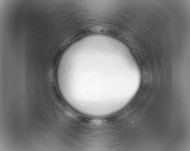 X0000074320375200609230033