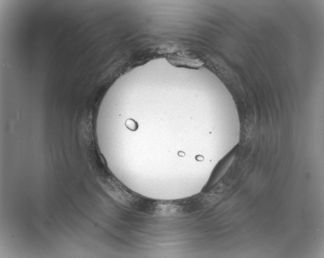 X0000074320376200609230033