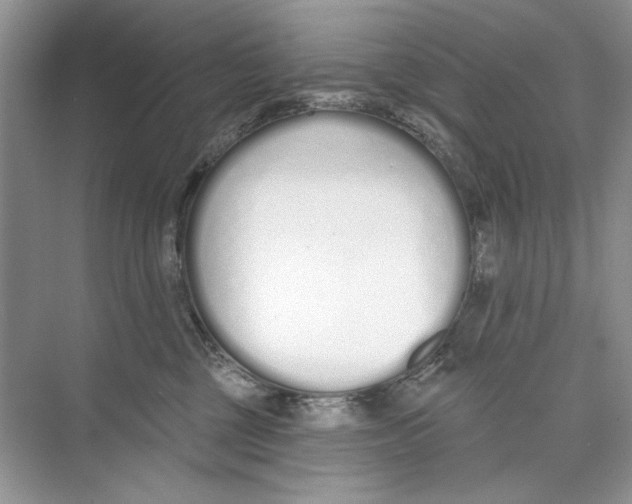 X0000074320377200609230033