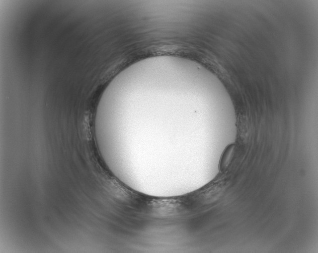 X0000074320378200609230033