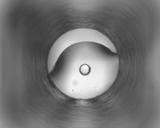 X0000074320380200609230033