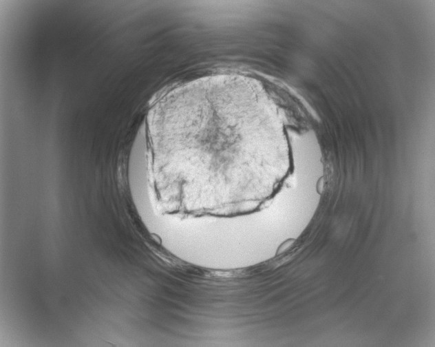 X0000074320381200609230033