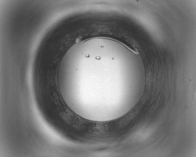 X0000074320383200609230033