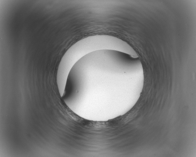 X0000074320384200609230033