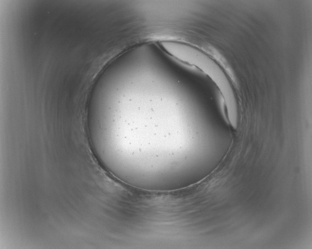 X0000074320385200609230032