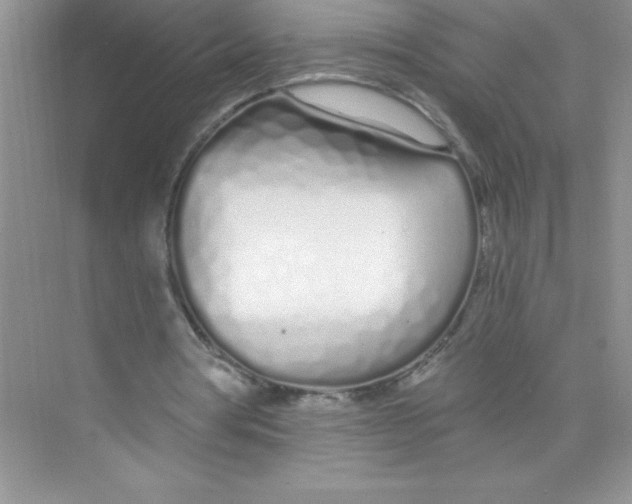 X0000074320386200609230032