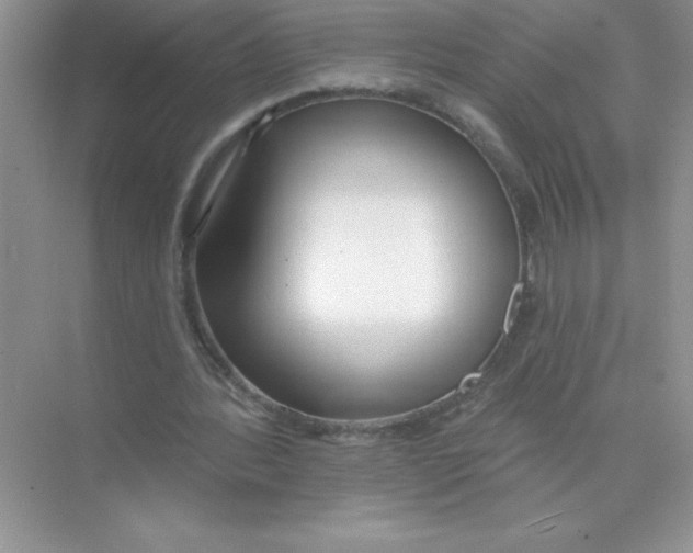 X0000074320388200609230032