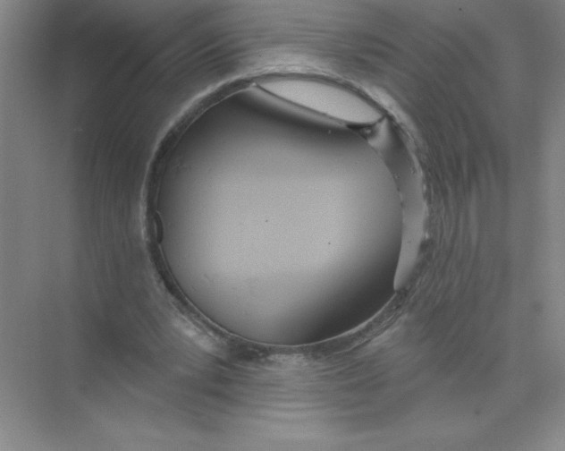 X0000074320391200609230032