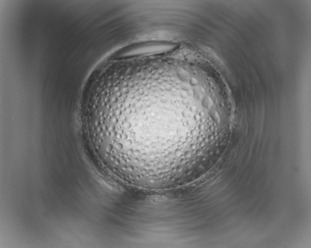 X0000074320392200609230032