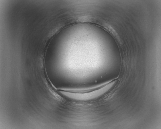 X0000074320393200609230032