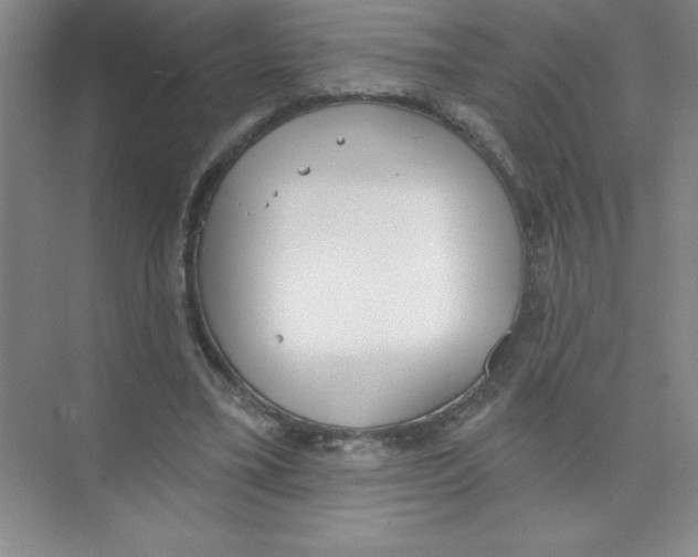 X0000074320395200609230032