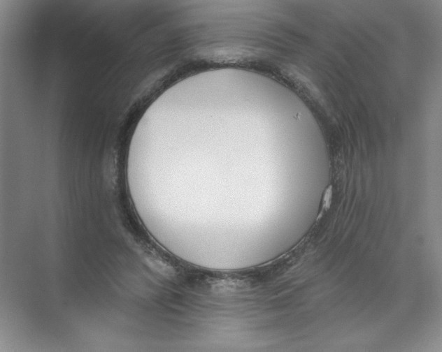 X0000074320400200609230032