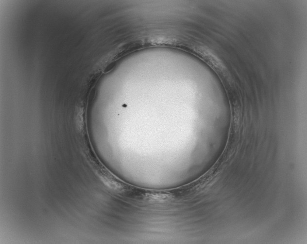 X0000074320401200609230032