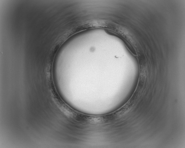 X0000074320402200609230032