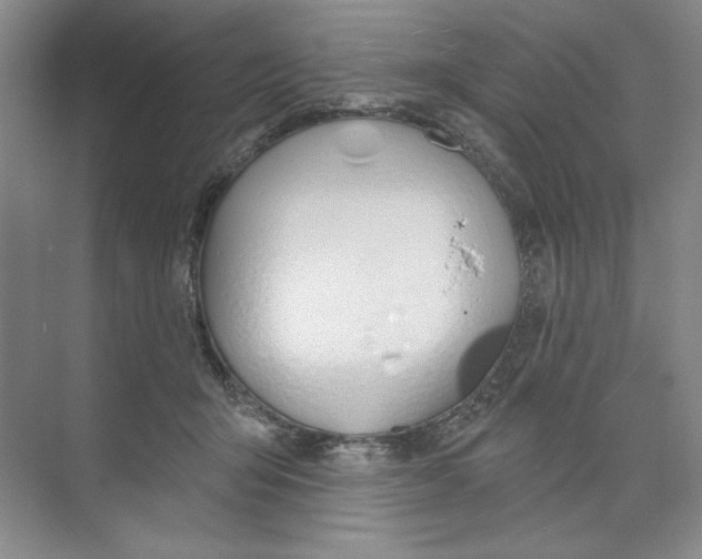 X0000074320415200609230031