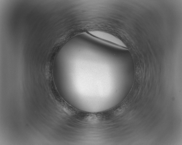 X0000074320416200609230031