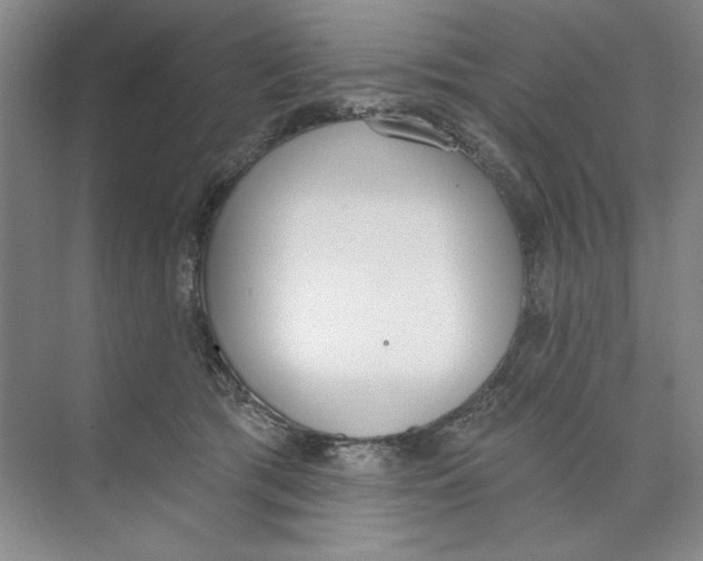 X0000074320417200609230031