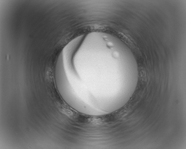 X0000074320419200609230031