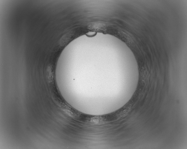 X0000074320420200609230031