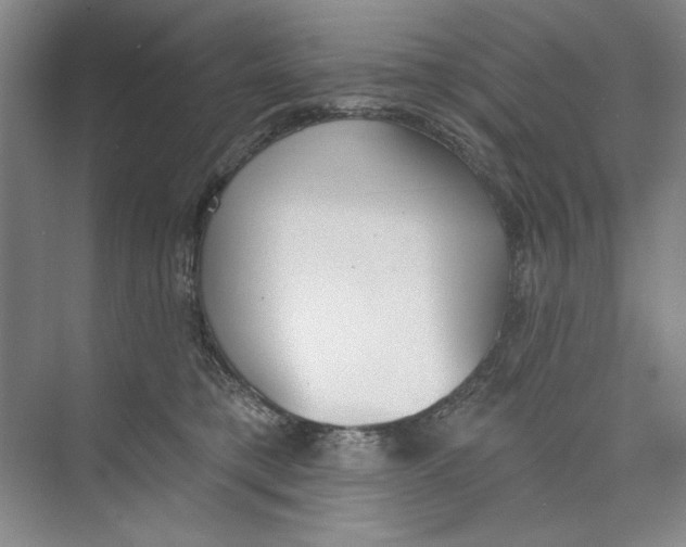 X0000074320421200609230031