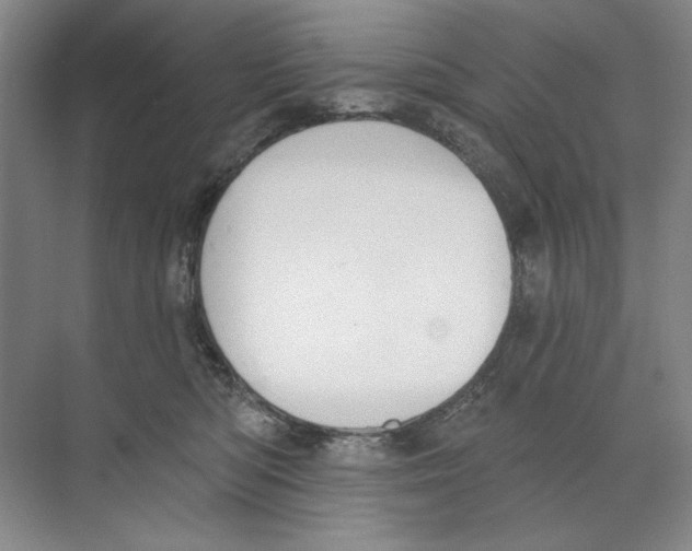 X0000074320422200609230031