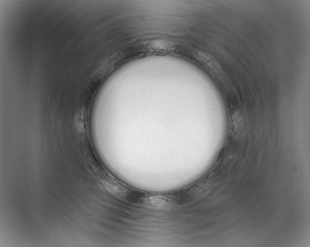 X0000074320423200609230031