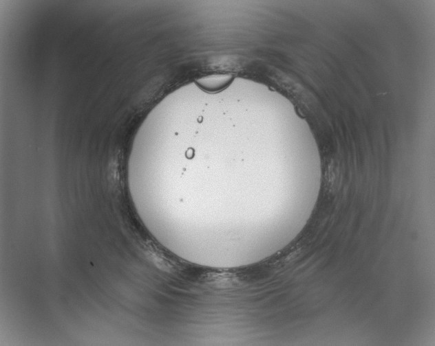 X0000074320424200609230031