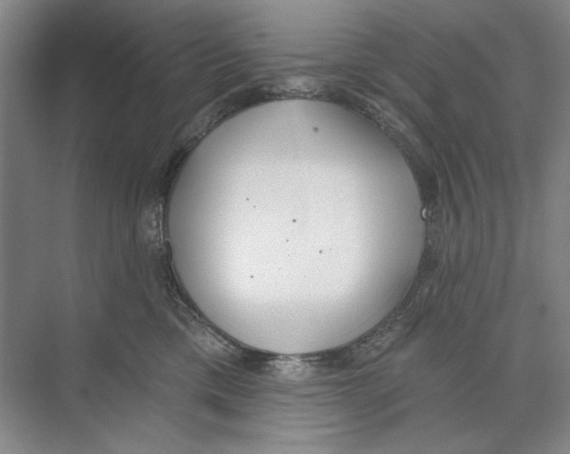 X0000074320425200609230031