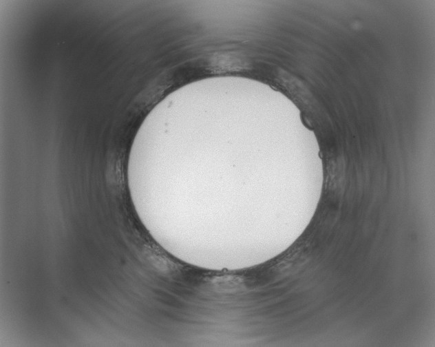 X0000074320426200609230031