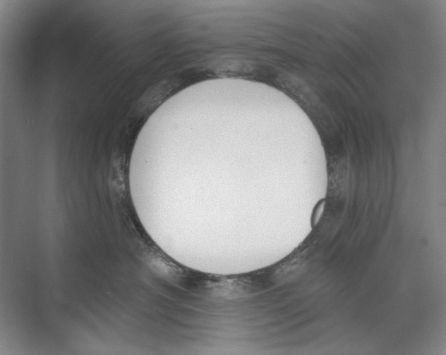 X0000074320430200609230031