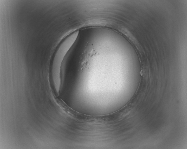 X0000074320434200609230030