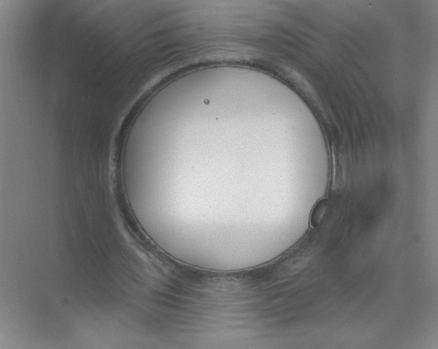 X0000074320435200609230030