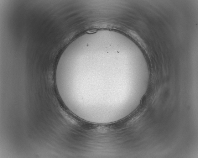 X0000074320441200609230030