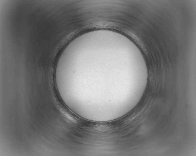 X0000074320445200609230031