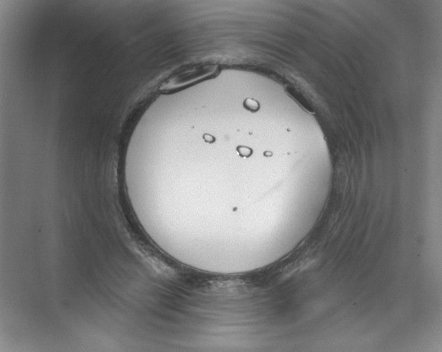 X0000074320446200609230031