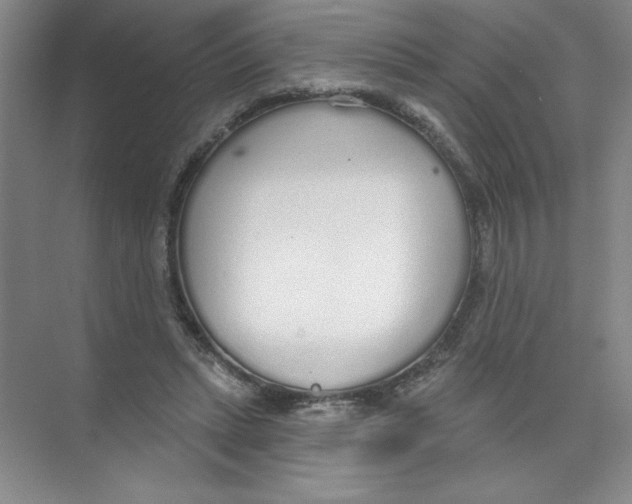 X0000074320447200609230031