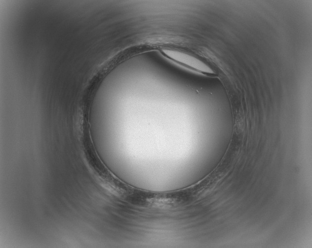 X0000074320448200609230031