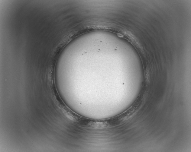 X0000074320449200609230031