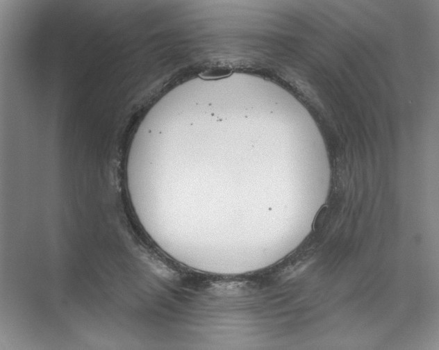 X0000074320450200609230031